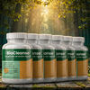 BioCleanse™